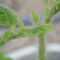 34005_20181001141903_01.JPG