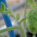 34005_20181001141954_01.JPG