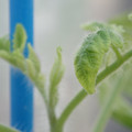 34005_20181001142004_01.JPG
