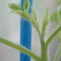 34005_20181001142006_01.JPG