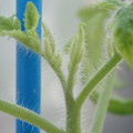 34005_20181001142010_01.JPG