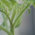 34005_20181001142019_01.JPG