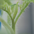 34005_20181001142023_01.JPG