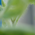 34005_20181001142026_01.JPG