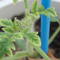 34005_20181001142129_01.JPG