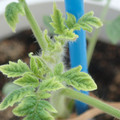 34005_20181001142133_01.JPG