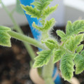 34005_20181001142142_01.JPG