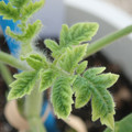 34005_20181001142143_01.JPG