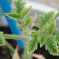 34005_20181001142146_01.JPG