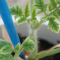 34005_20181001142155_01.JPG