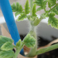 34005_20181001142156_01.JPG