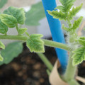 34005_20181001142245_01.JPG