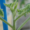 34005_20181001142300_01.JPG