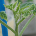 34005_20181001142303_01.JPG