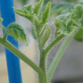 34005_20181001142305_01.JPG