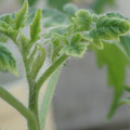 34005_20181001142310_01.JPG
