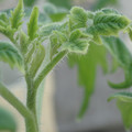 34005_20181001142312_01.JPG