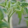 34005_20181001142313_01.JPG