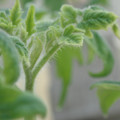 34005_20181001142314_01.JPG