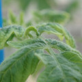 34005_20181001142323_01.JPG