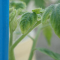 34005_20181001142331_01.JPG
