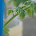34005_20181001142337_01.JPG