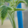 34005_20181001142401_01.JPG