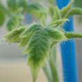 34005_20181001142403_01.JPG