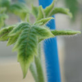 34005_20181001142406_01.JPG