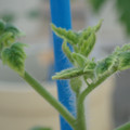 34005_20181001142430_01.JPG