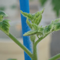 34005_20181001142431_01.JPG