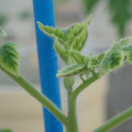 34005_20181001142432_01.JPG