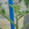 34005_20181001142433_01.JPG
