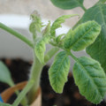 34005_20181001142501_01.JPG