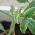 34005_20181001142502_01.JPG