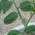 34005_20181001142531_01.JPG