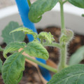 34005_20181001142607_01.JPG