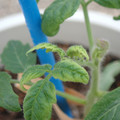 34005_20181001142609_01.JPG