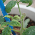 34005_20181001142612_01.JPG