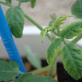 34005_20181001142623_01.JPG