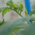34005_20181001142700_01.JPG
