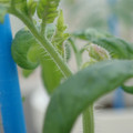 34005_20181001142712_01.JPG