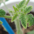 34005_20181001142826_01.JPG