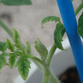 34005_20181001142908_01.JPG