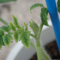 34005_20181001142910_01.JPG
