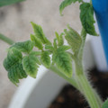 34005_20181001142914_01.JPG