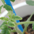 34005_20181001142923_01.JPG