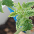 34005_20181001142932_01.JPG