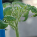 34005_20181001143003_01.JPG
