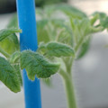 34005_20181001143005_01.JPG